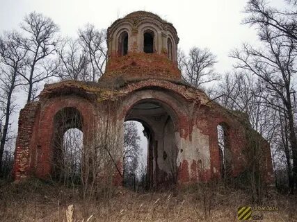 Паники курская область