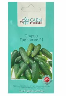 Огурец трилоджи f1 описание отзывы