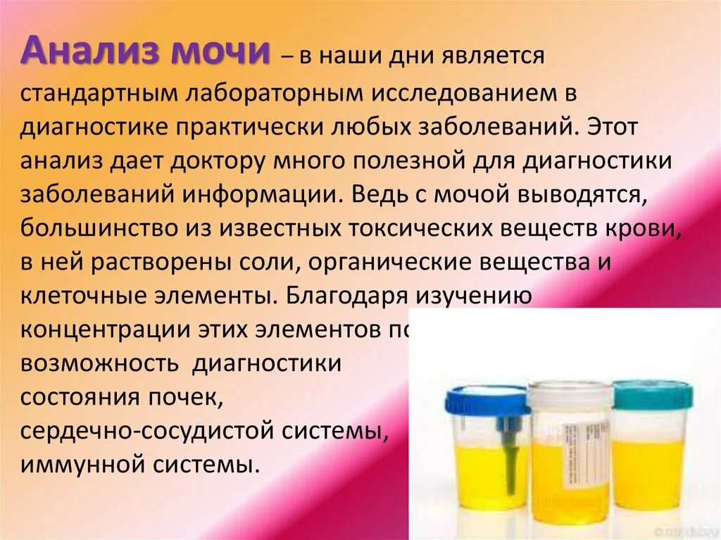 Сколько мочи нужно для общего анализа взрослого. Сбор анализа мочи. Анализ мочи презентация. Проект моча. Общий анализ мочи подготовка.