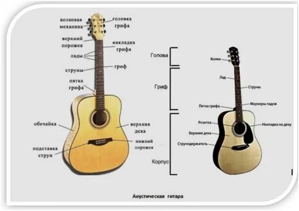 На каком инструменте легче всего научиться играть