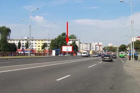 Белуша гродно