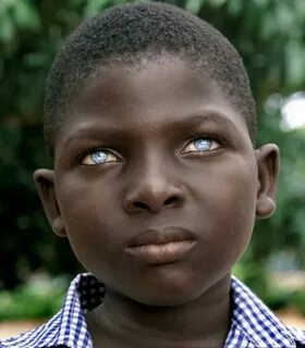 Orang negro