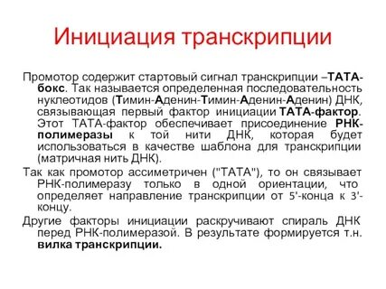 Нуклеотид транскрипции