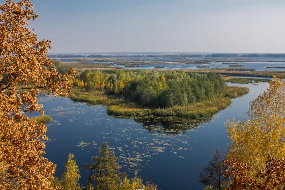 Воронеж местность. Белая гора воронеж. белая гора олимпик воронеж. олимпик воронеж лысая гора. белая гора воронеж осенью.
