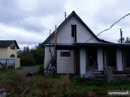 Садоводство красный октябрь санкт петербург