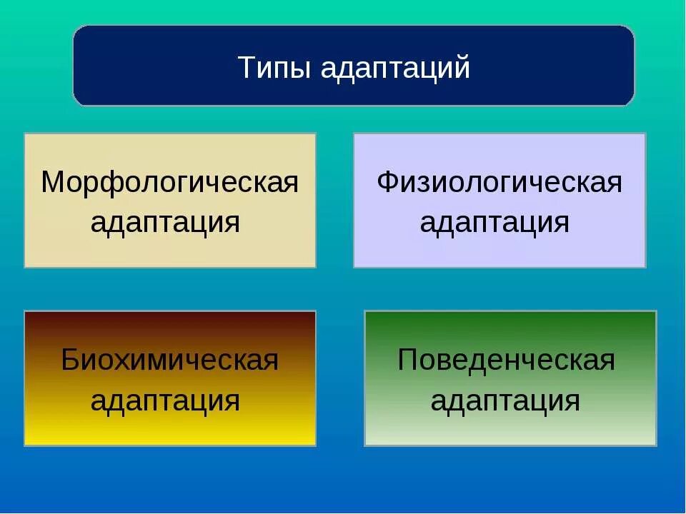 Адаптация групп организмов