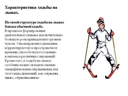 Обучение ходьбе на лыжах следует начинать