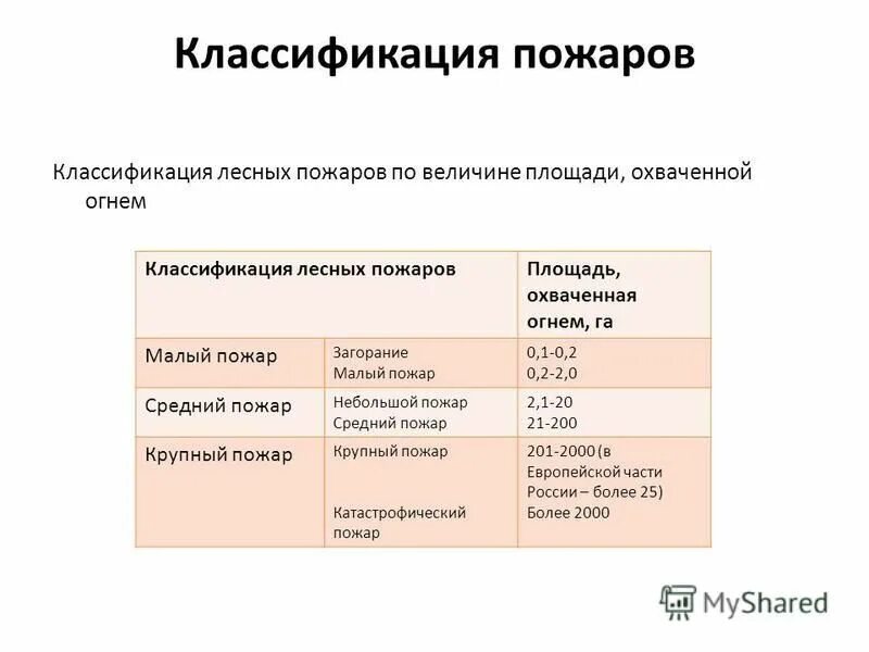 классификация лесных хозяйств