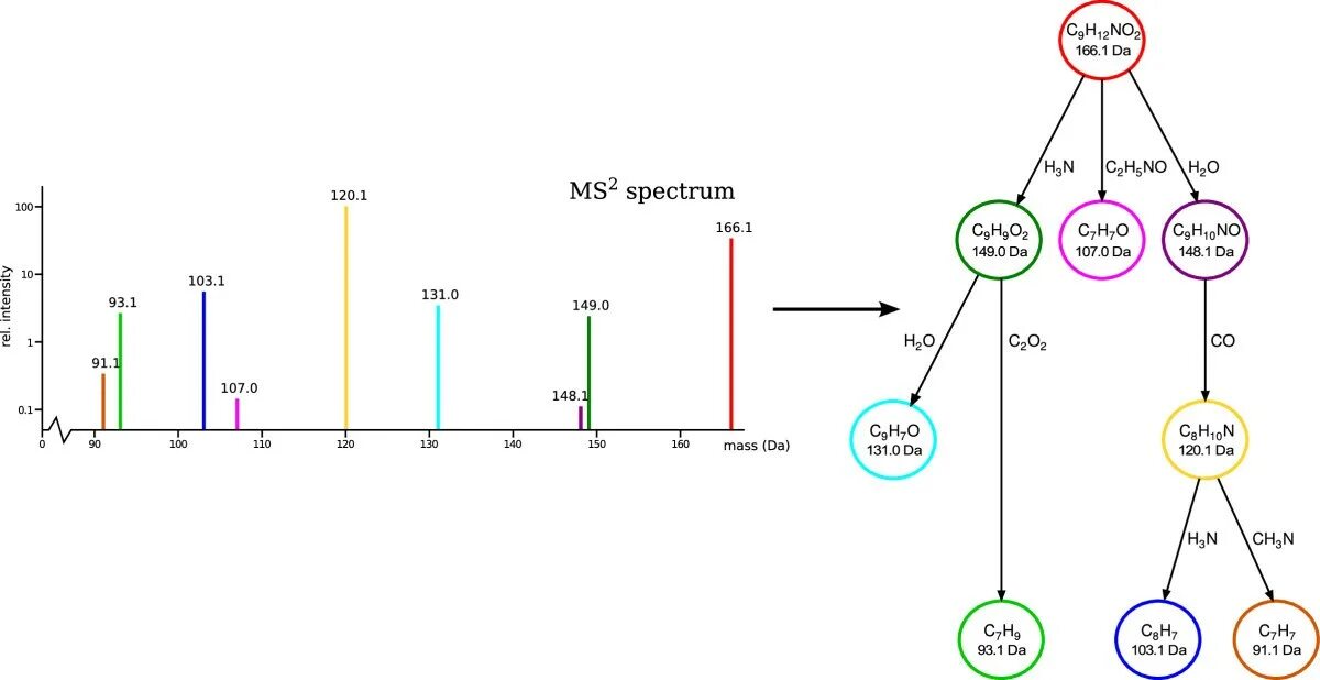 Mass Spectrometry Spectrum. Traend Mass Spectrometry graph. Whites Spectrum,XLT диаграмма. Идентификация Mass spektrov. Spectre перевод