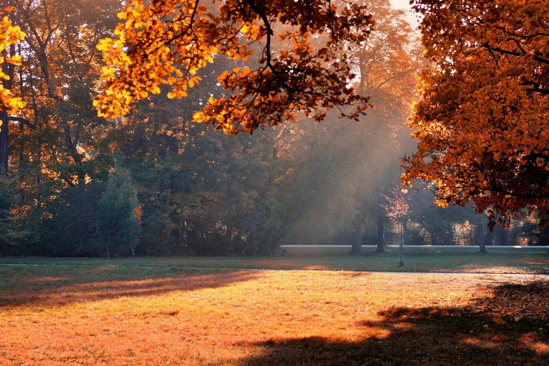 Осенняя теплая осень. Красивая осень. Осенний парк. Солнечный осенний день. Тёплая осень.