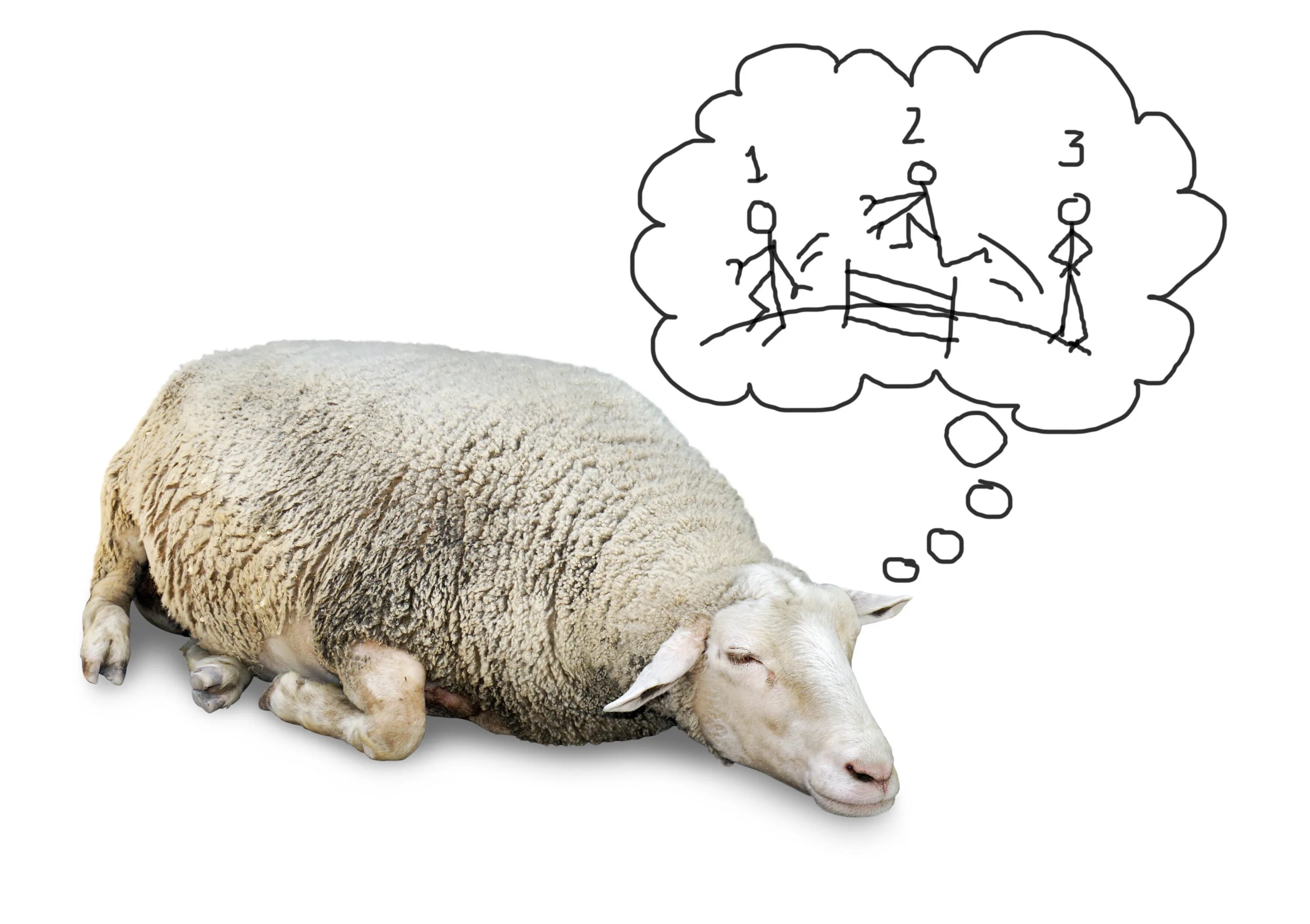 Counting sleep