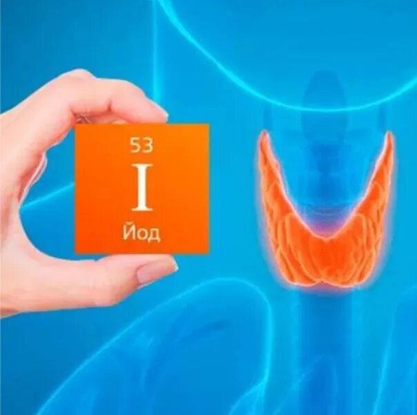 Щитовидная железа йод фтор. Йод микроэлемент. Йод в организме человека.