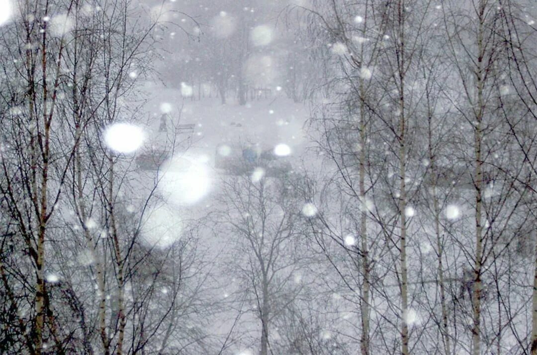 Заметишь или заметешь как пишется. Эфир мемы. Заметили или заметели. Бобриные следы на снегу. Поверю когда увижу сказал человек.