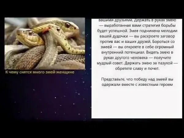 К чему снятся змеи беременной девушке