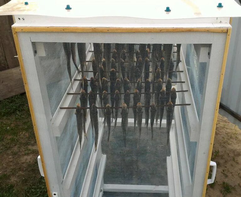 Дегидратор reoka md 607. Дегидратор andrew mr050-31337. Дегидратор magic mill. Сушильно-вялочная камера. Промышленная вялка рыбы.