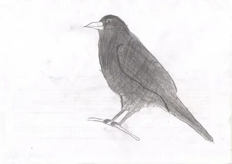 Рисунок грача 2 класс