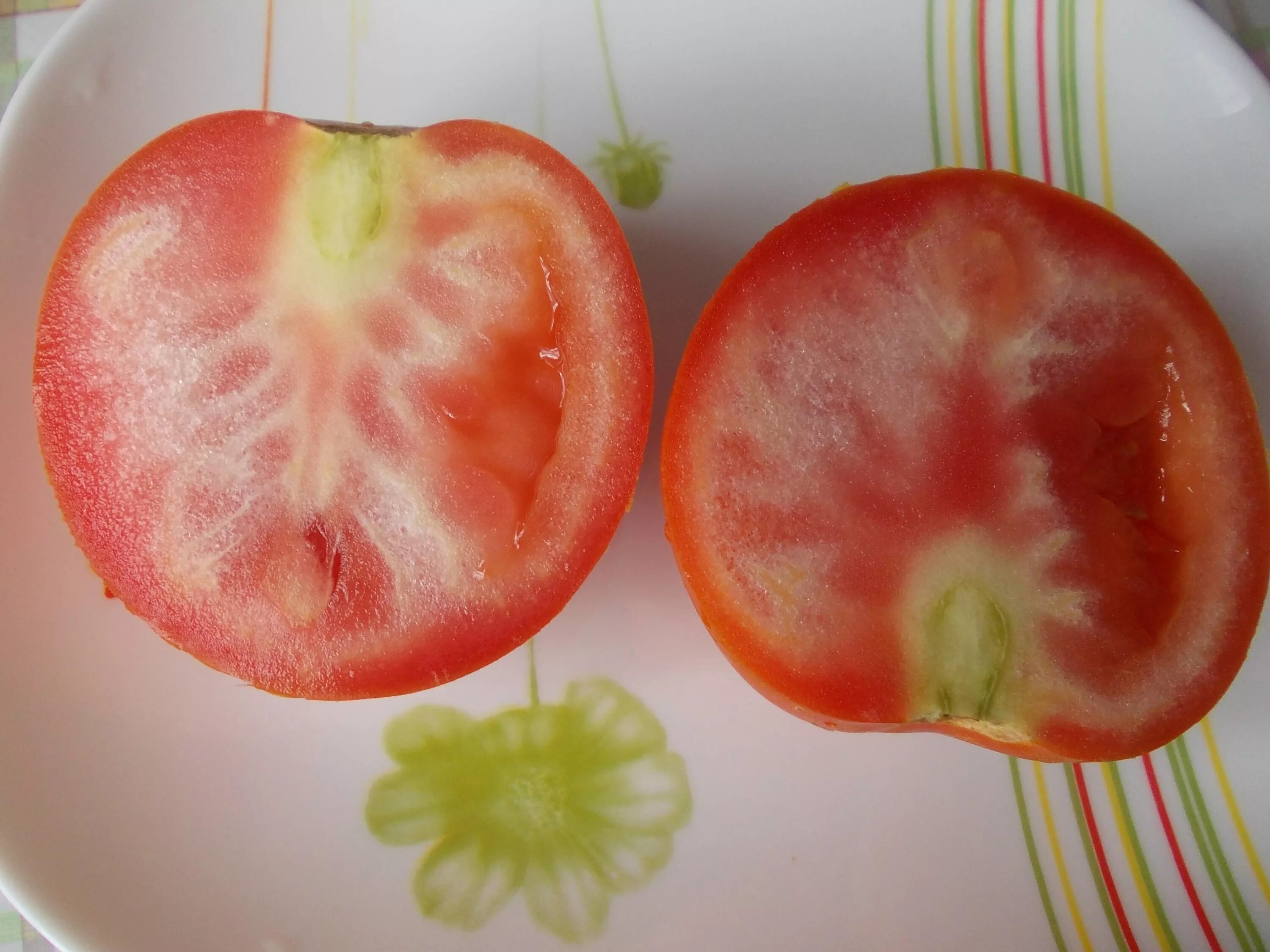 Почему мало томатов. Столбур томатов. Столбур плодов томатов. Томаты с белыми прожилками внутри. Фитоплазмоз томатов.