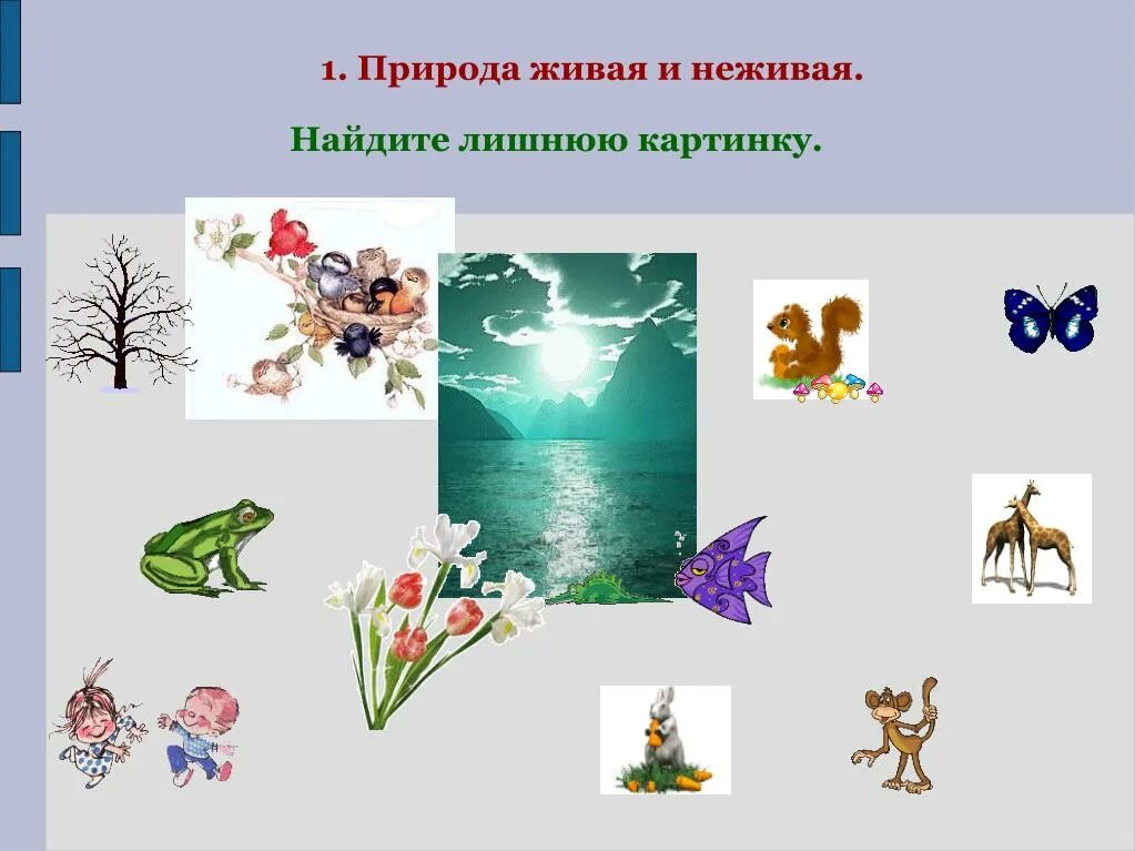 Найди живую и неживую природу. Живая и неживая природа. найди лишнее живая и неживая природа. живая и неживая природа фон. картинки живая неживая природа что лишнее.