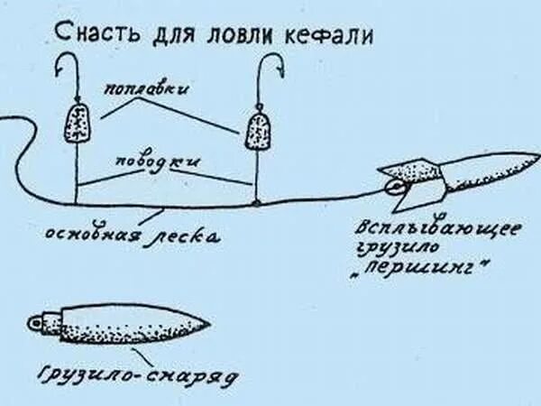 Оснастка для ловли кефали с берега. Снасти для ловли кефали на черном море. Оснастка для кефали с берега в черном. Снасть на кефаль с лодки. Ловля кефали с берега