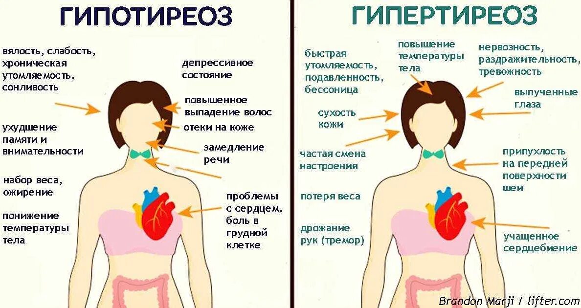 Проблемы с сердцем анализы