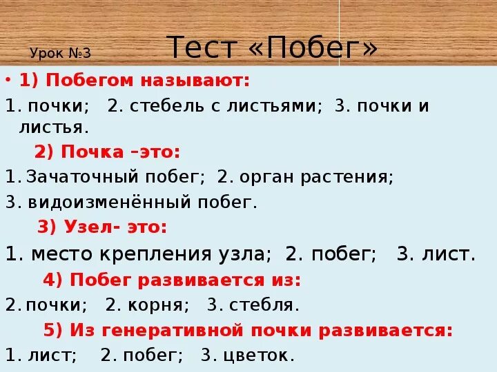 Тест по теме побег и почка. Тест по теме побег 6 класс. Тест по теме побег и почки 6 класс. Тест по биологии 6 класс побег и почки.