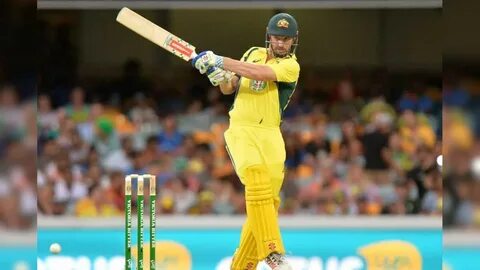 Live cricket streaming
