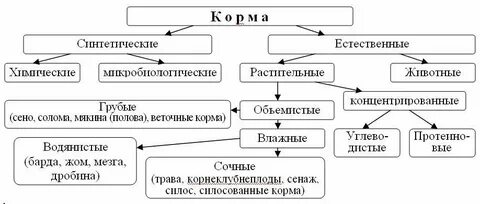 Классификация кормов животного происхождения