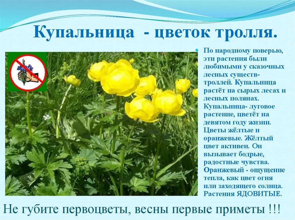 Описание под названием