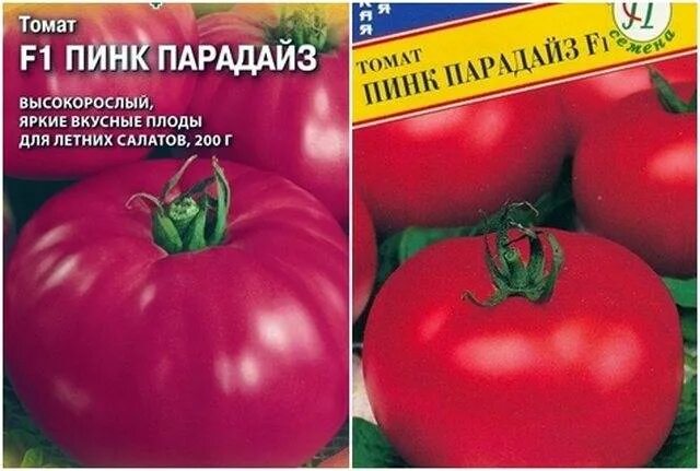 Томат Пинк Мани F1,5 семян Планета Семян 196461883 купить в интернет-магазине Wi