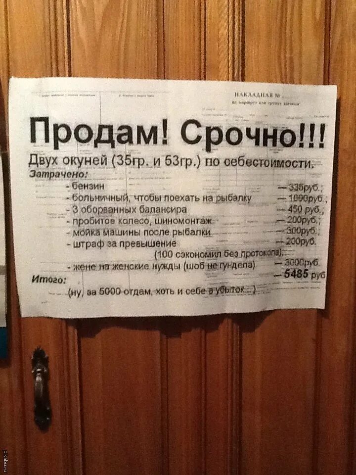 Продаем окуней