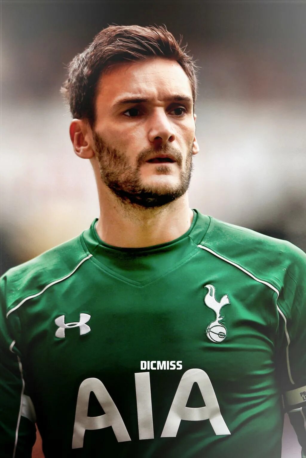 Lori s. Lloris. hugo lloris. льорис вратарь. уго льорис вратарь.