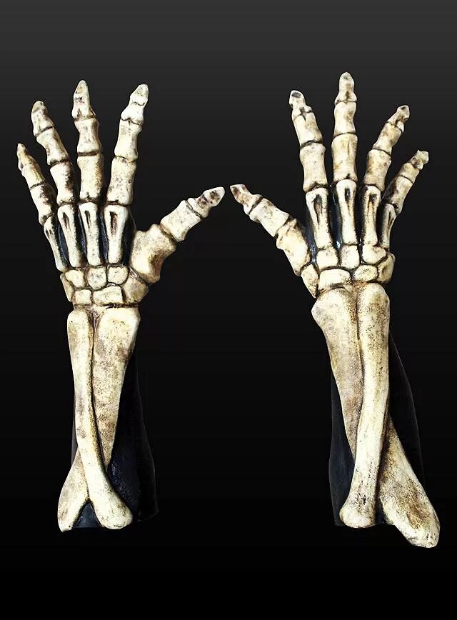 Скелет руки. Скелетная рука. Чесалка рука скелета. Рука в виде скелета. Hand bone