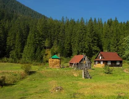 Жить в карпатах