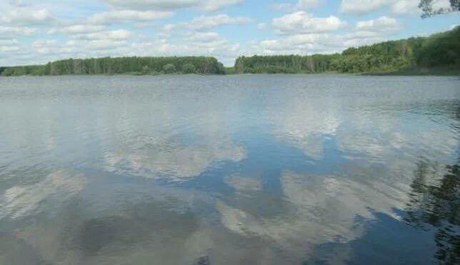Шушпанское водохранилище тамбовской. Староюрьево шушпанское водохранилище. Шушпанское водохранилище тамбовской. Тамбовское водохранилище в тамбове. Кершинское водохранилище тамбов.