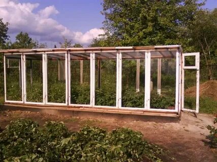 Парник из оконных рам