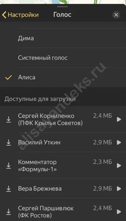 Как включить распознавание голоса на станции. Изменить голос Алисы. Как поменять голос Алисе. Как можно изменить голос Алисы. Как изменить голос Алисы на мужской.