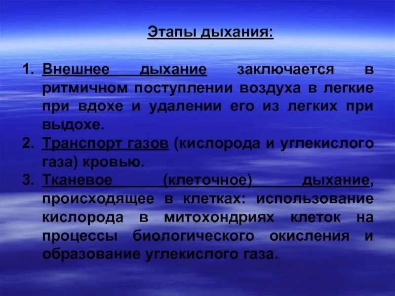 Какие дыхания выделяют и каково их значение. Этапы дыхания. этапы внешнего дыхания. этапы процесса дыхания. три этапа дыхания.