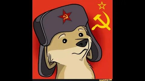 Собака товарищ