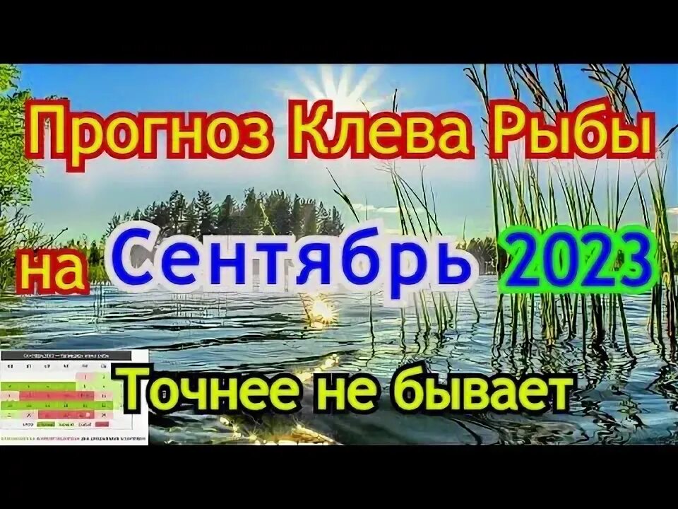 Прогноз клева рыбы лунный календарь 2025 Календарь рыбака на Август Прогноз клева рыбы на эту неделю Календарь клева Авгу