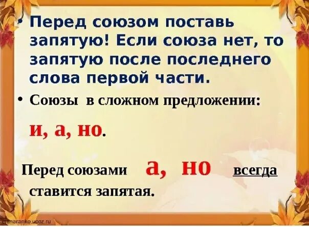 Перед которым или после которым
