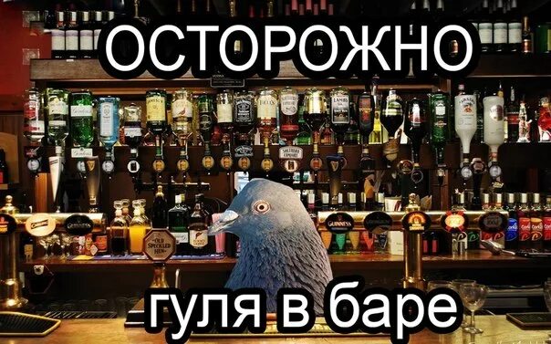 Мемы про бар. Приколы про бар. Котик бармен. Бар мем. Мемы про барменов.