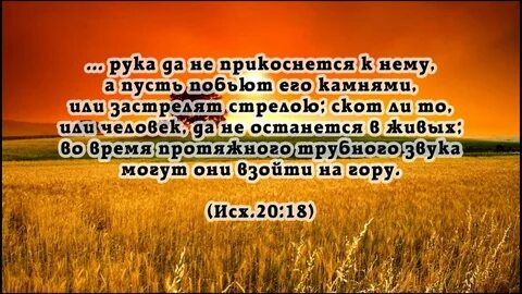 Библия про десятину