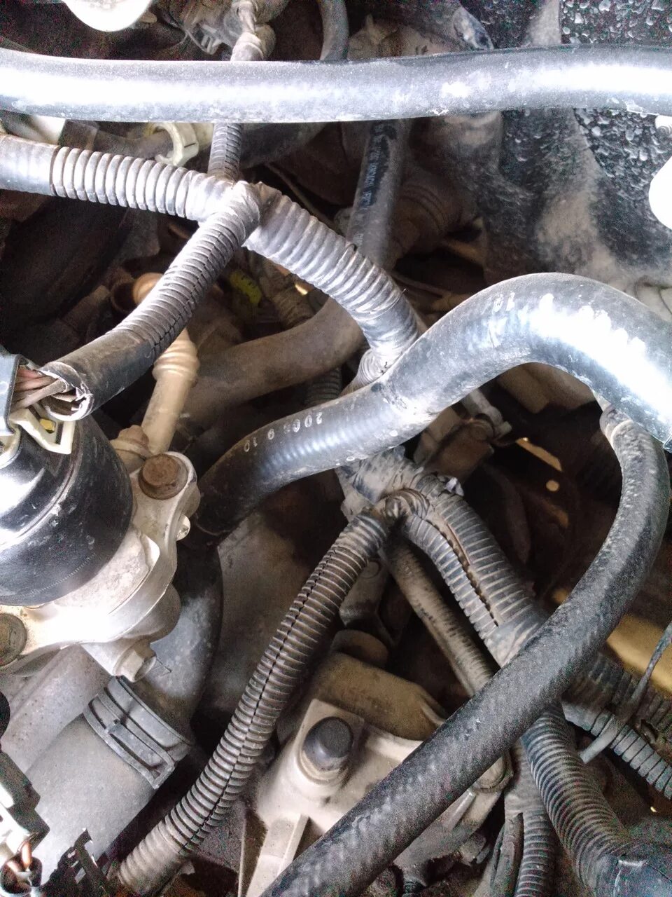 6 шевроле. Лачетти разъем c301. Масса лачетти. 3 массы шевроле лачетти 1. 6.