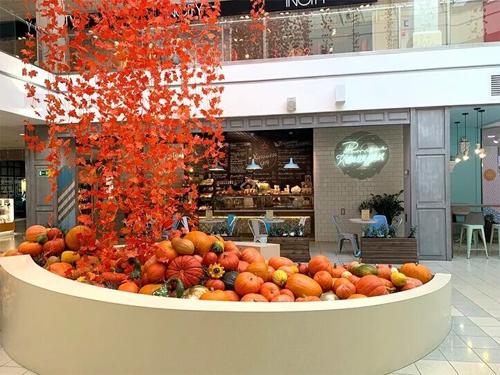 Тц малина рязань магазины. Малина сегодня рязань. Малина сегодня рязань. Торговый центр малина рязань. Магазины у трц малина.