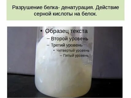 Белки кислоты