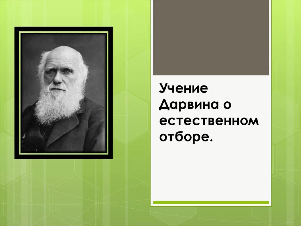 Дарвин естественный. Дарвин естественный. Графики естественного отбора. Дарвин естественный. Дарвин происхождение видов.