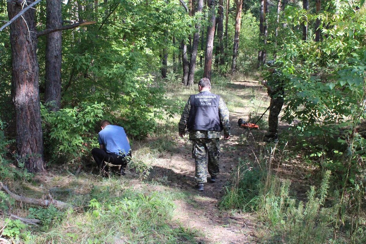 Нападение на самарскую область. Лес район. Высадил лес в одиночку.