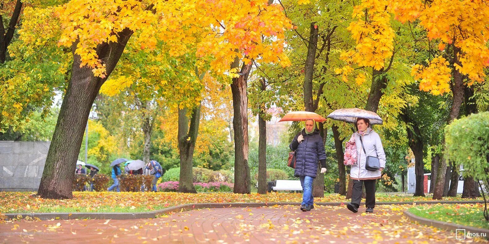Люди осенью в новосибирске. Москва сентябрь осень. Поздняя осень в городе. Осенний октябрь. Осенний дождик.