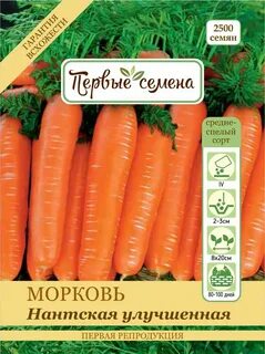 Морковь нантская характеристика и описание