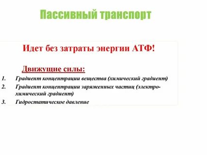 Пассивная сила